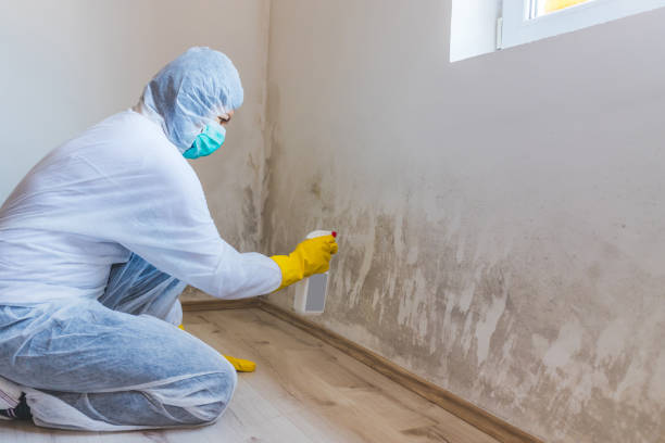 Hvac And Air Duct Mold Remediation inspection of HVAC system in Knoxville